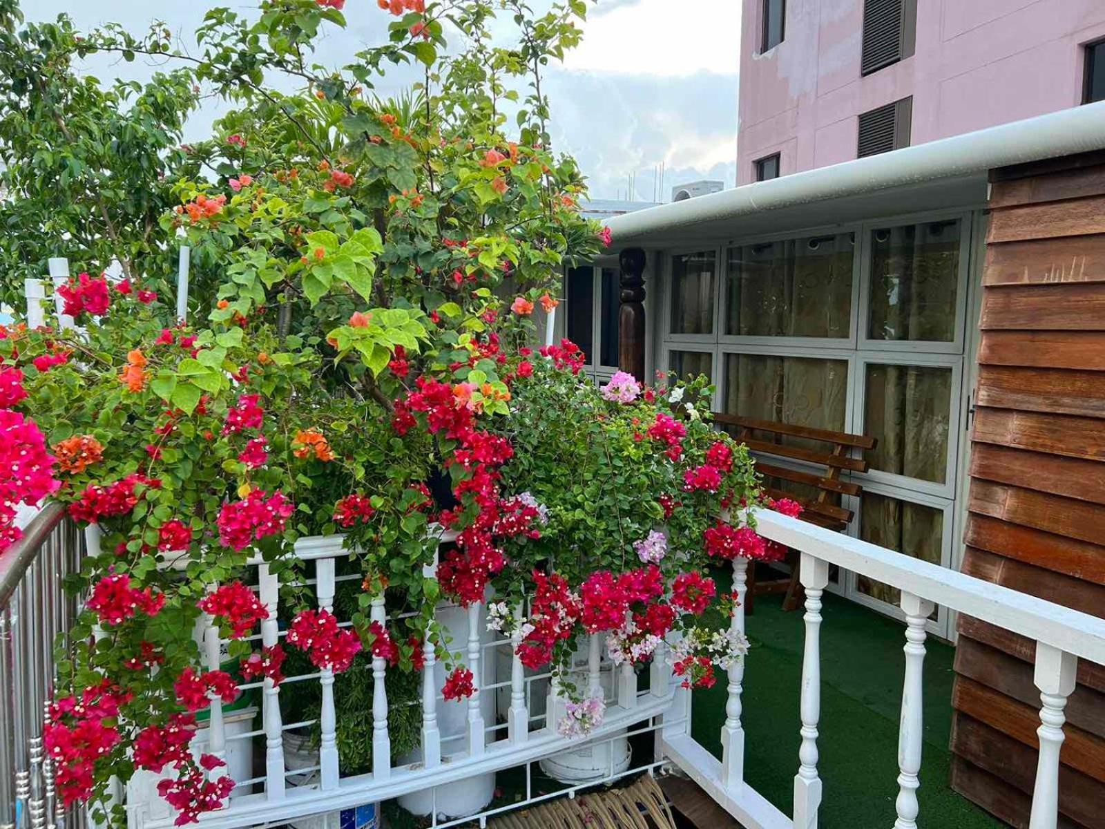 Rooftop Inn Malé Extérieur photo